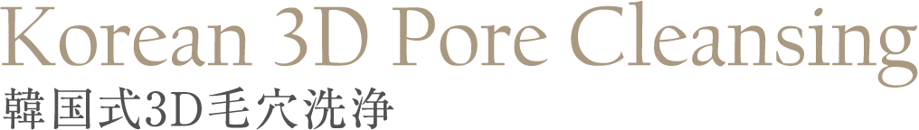Korean 3D Pore Cleansing 韓国式3D毛穴洗浄